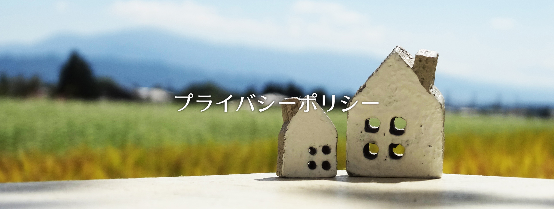 プライバシーポリシー